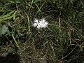 DSCN8068