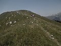 DSCN8127