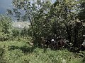 DSCN8152