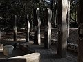 DSCN8787
