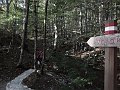 DSCN8788