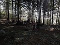 DSCN8793