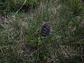 DSCN2848