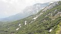IMG_0373