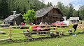 IMG_0416