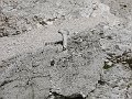 IMGP0021