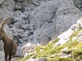 IMGP0061