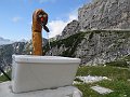 IMG_2164