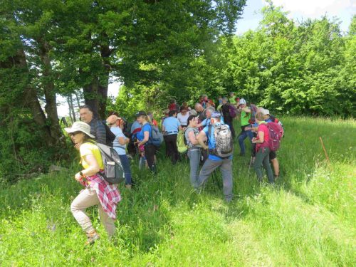 IMG 3081