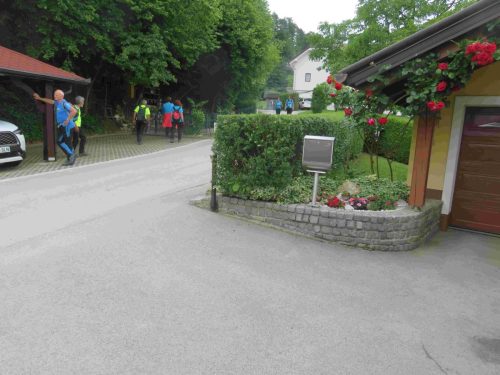 IMG 6987